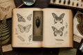 Insects & Wings Biomechanical Bookmark | Dark Academia Anatomy | Magnetic Page Marker | Gothic Sci-Fi | Book Lover Gift