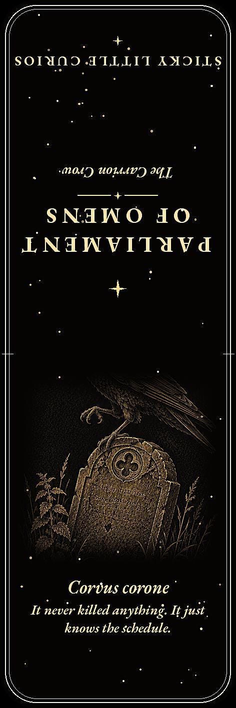 A Parliament of Omens Bookmark, Dark Academia Raven | Gold Detail | Magnetic Page Marker, Witchy Book Lover