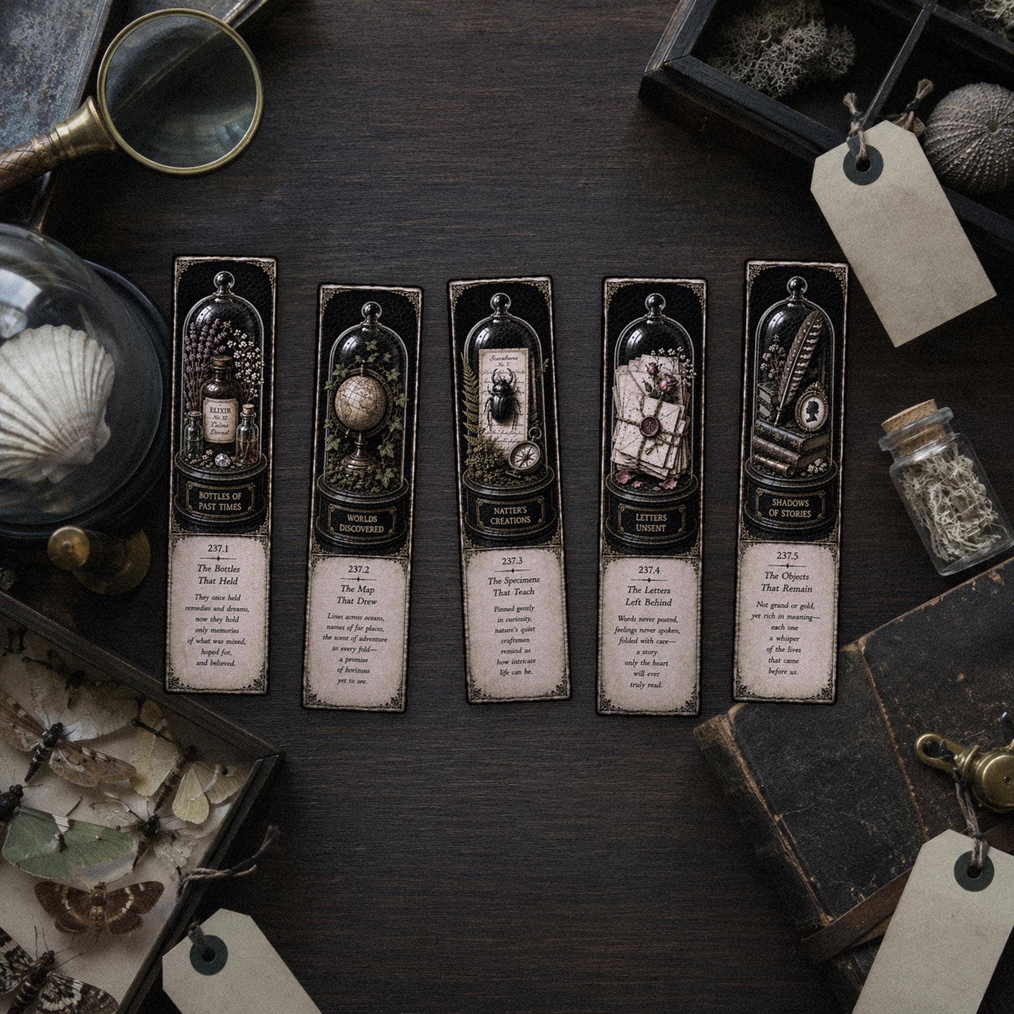 Curiosities Collected Bookmark | Dark Academia Set of 5 | Standard or Magnetic | Gothic Cabinet of Curiosities