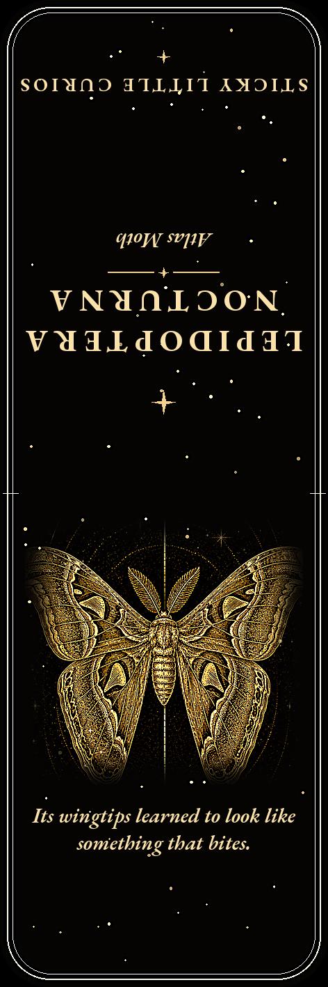 Lepidoptera Nocturna Bookmark | Dark Academia Moth Specimen Bookmark | Standard or Magnetic Page Marker