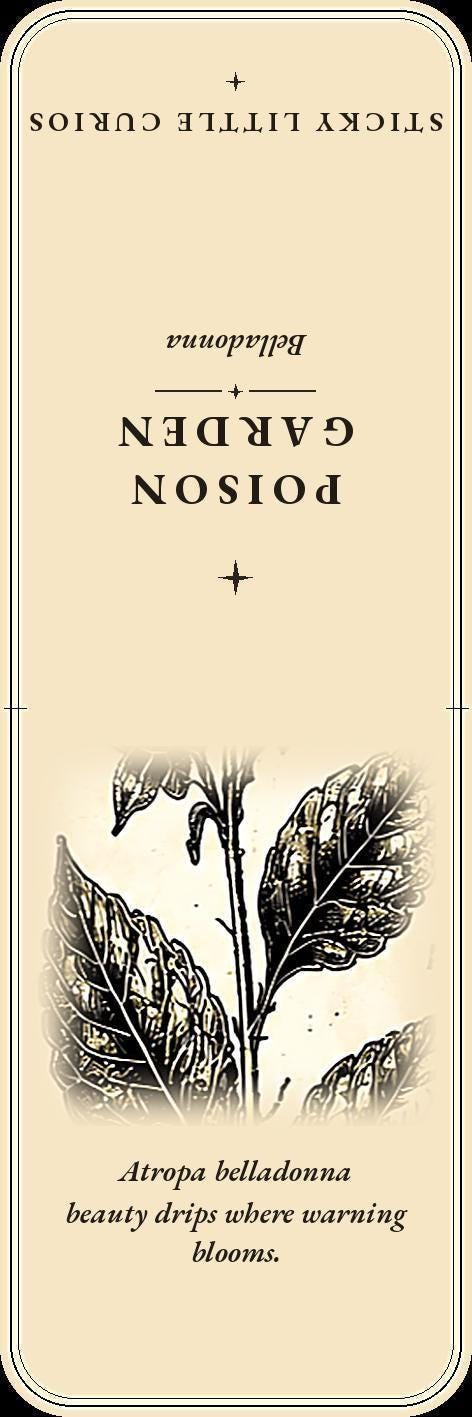Poison Garden Bookmark, Dark Academia Botanical | Witchy Herbal Art | Magnetic Page Marker