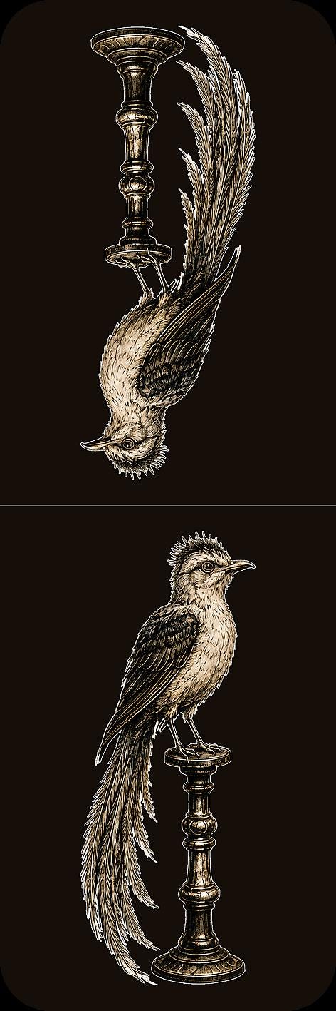 Unclassified Specimens Bookmark | Dark Academia Set of 5 | Standard or Magnetic | Gothic Cabinet of Curiosities