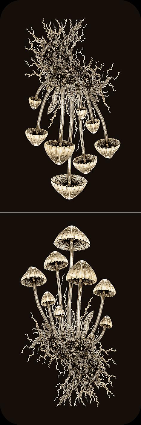 Strange Flora Bookmark | Dark Academia Set of 5 | Standard or Magnetic | Gothic Cabinet of Curiosities