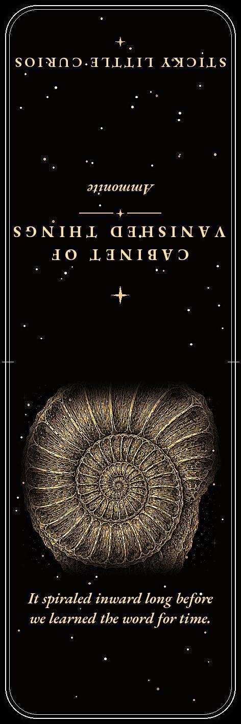 Cabinet of Vanished Things Bookmark, Dark Academia Fossil Art | Paleontology Page Marker | Magnetic or Standard