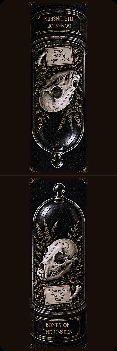 Wonders of the Wild Bookmark | Dark Academia Set of 5 | Standard or Magnetic | Gothic Cabinet of Curiosities