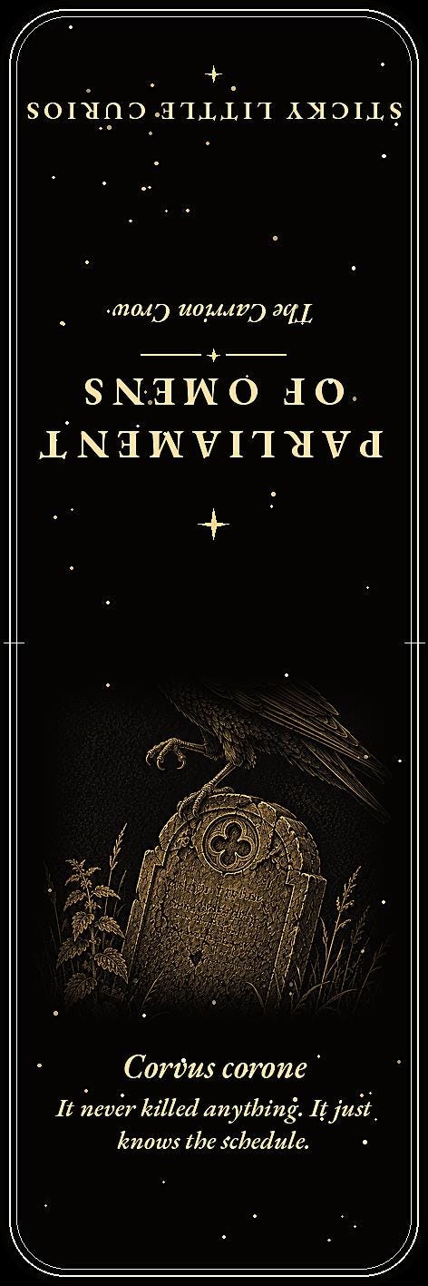 A Parliament of Omens Bookmark | Dark Academia Raven Crow Bookmark | Standard or Magnetic Page Marker