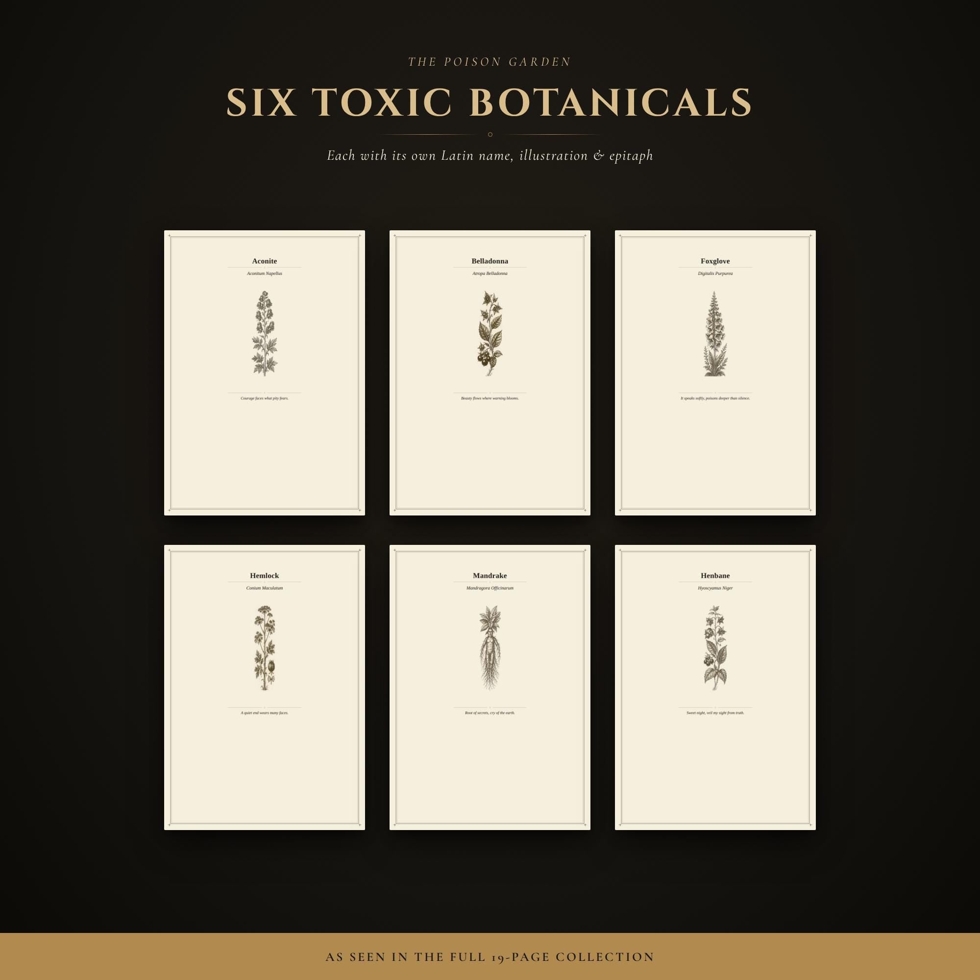 The Poison Garden Journal Pages | Printable Botanical Journal | Gothic Dark Academia Grimoire | Digital Download Diary Pages A4 & Letter