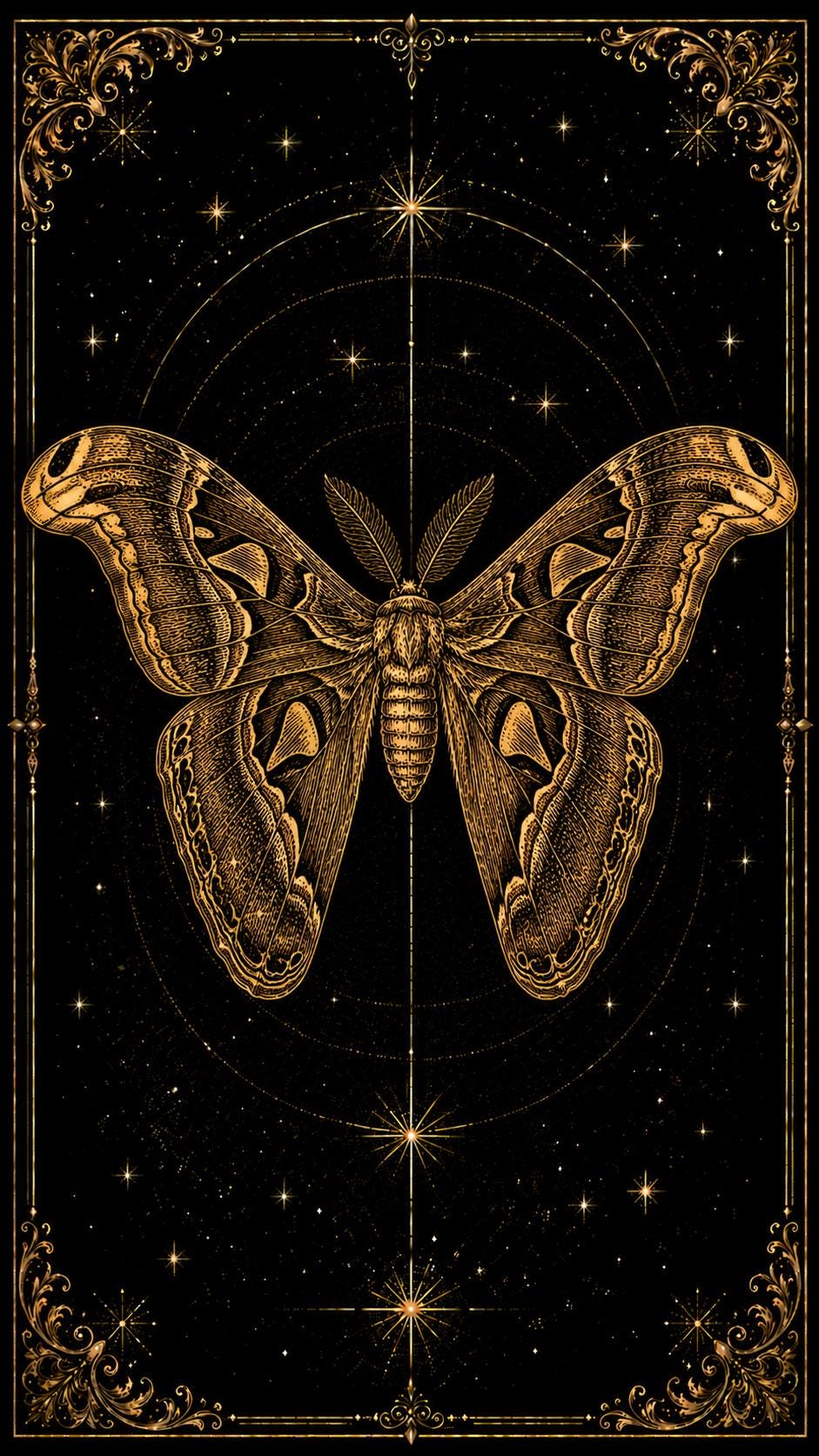 Lepidoptera Nocturna, Victorian Specimen Cabinet | Dark Academia Moth Bookmark | Gold Linework Printable | Five Species Illustrated