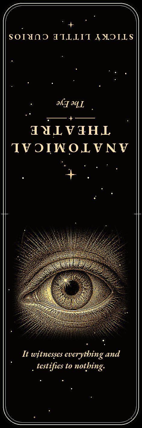 Anatomical Theatre Bookmark, Memento Mori Art | Dark Academia | Gold On Black | Page Marker | Vanitas Gift