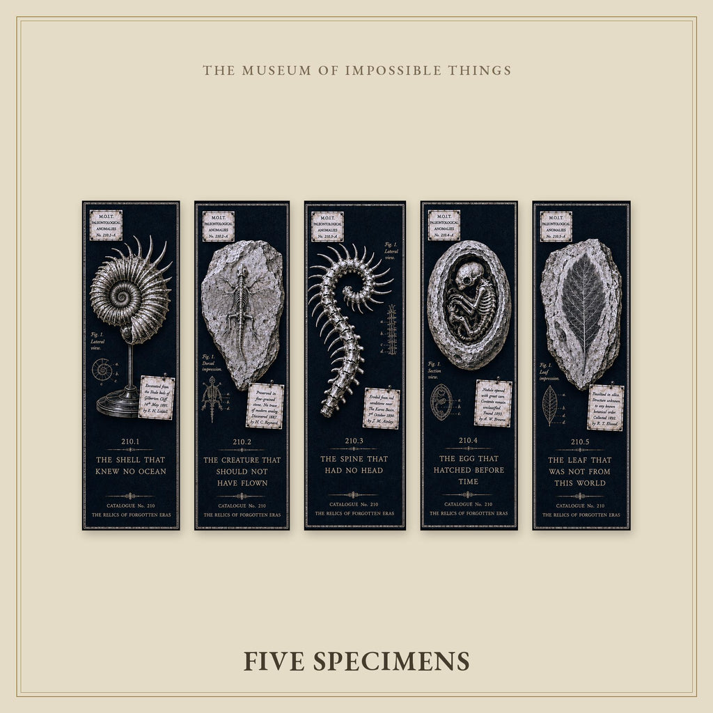 Relics of Forgotten Eras Bookmark | Dark Academia Set of 5 | Standard or Magnetic | Gothic Cabinet of Curiosities