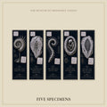 Relics of Forgotten Eras Bookmark | Dark Academia Set of 5 | Standard or Magnetic | Gothic Cabinet of Curiosities