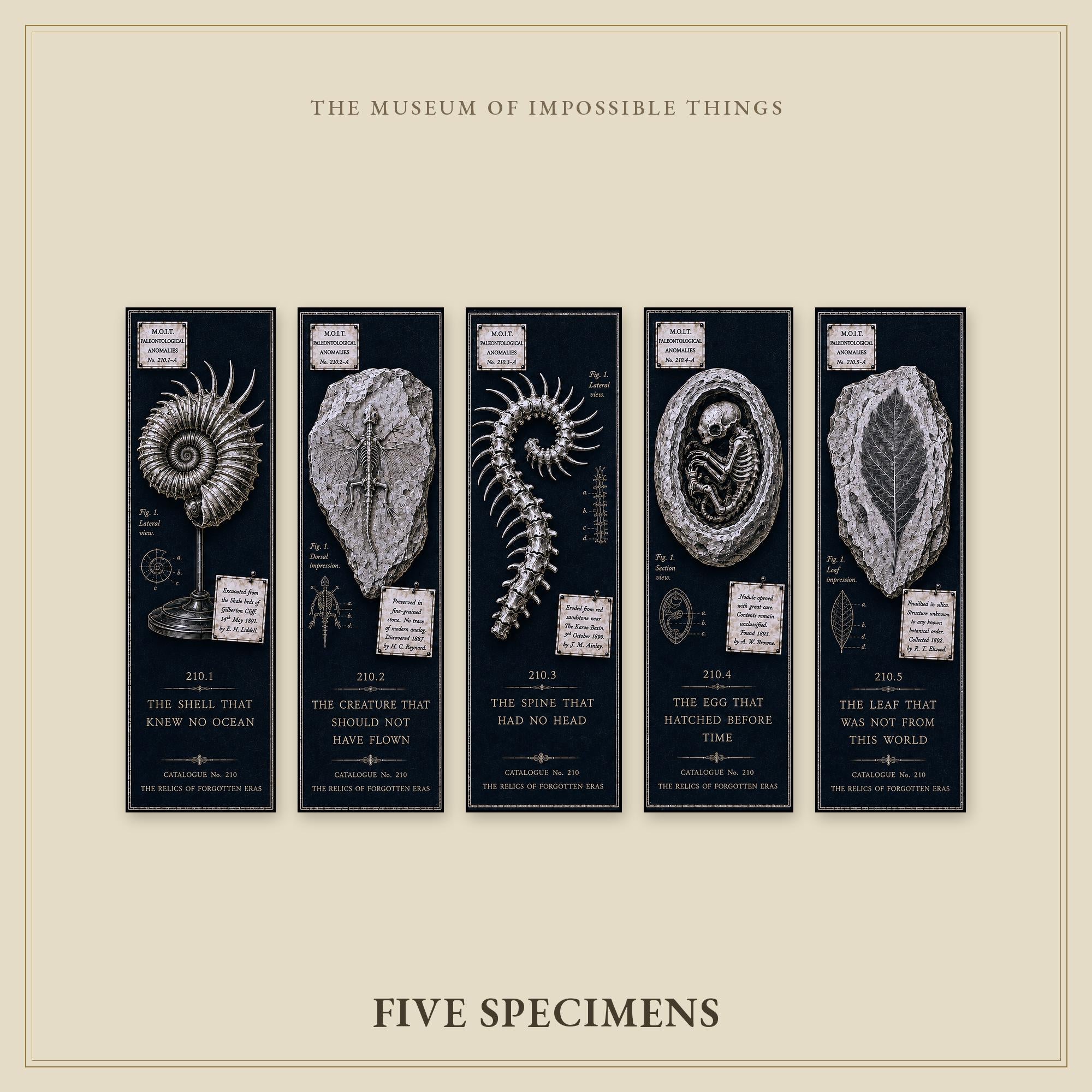 Relics of Forgotten Eras Bookmark | Dark Academia Set of 5 | Standard or Magnetic | Gothic Cabinet of Curiosities