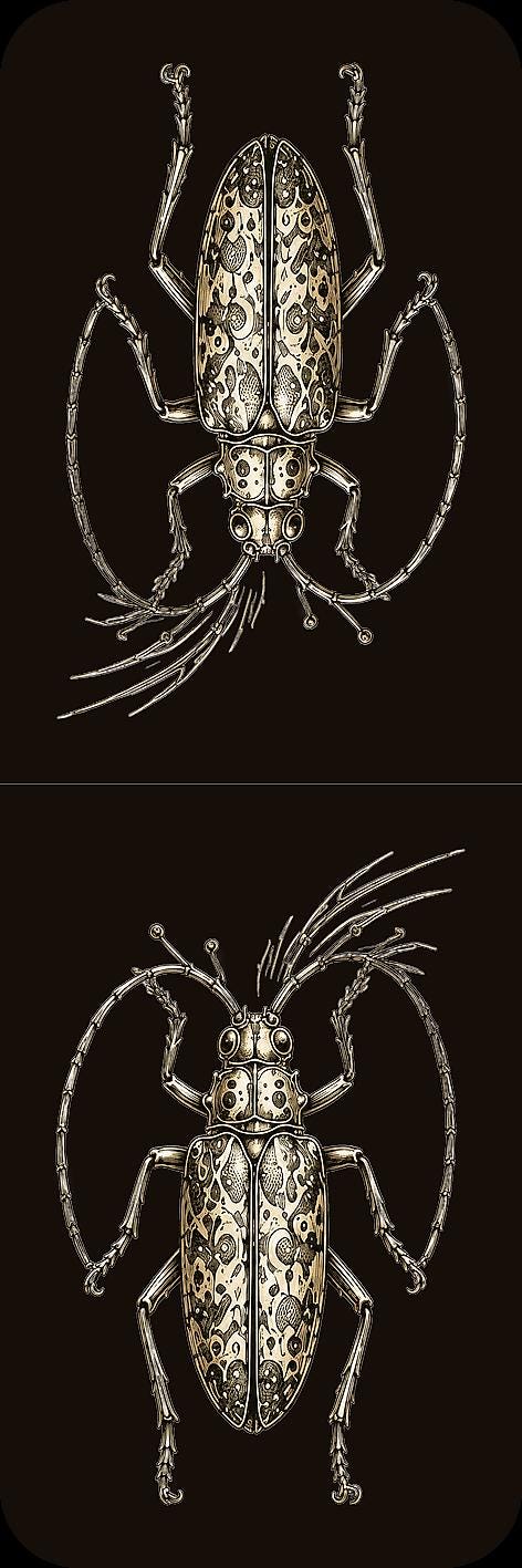 Entomological Curiosities Bookmark | Dark Academia Set of 5 | Standard or Magnetic | Gothic Cabinet of Curiosities