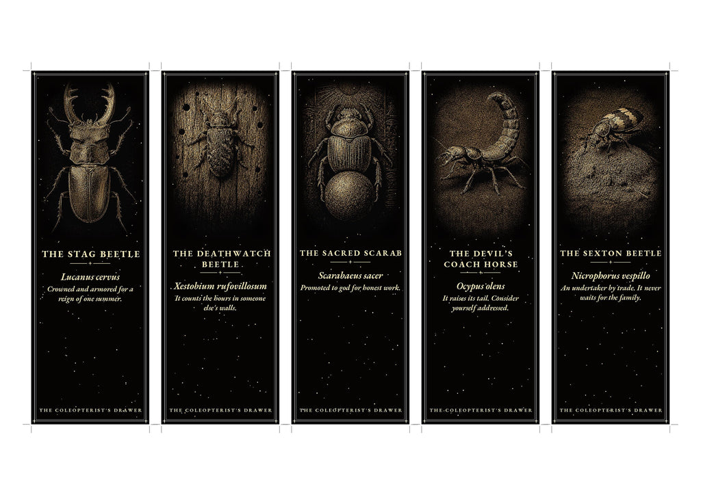 The Coleopterist's Drawer Printable Bookmarks | Dark Academia Gothic Bookmark Set | Beetle Digital Download