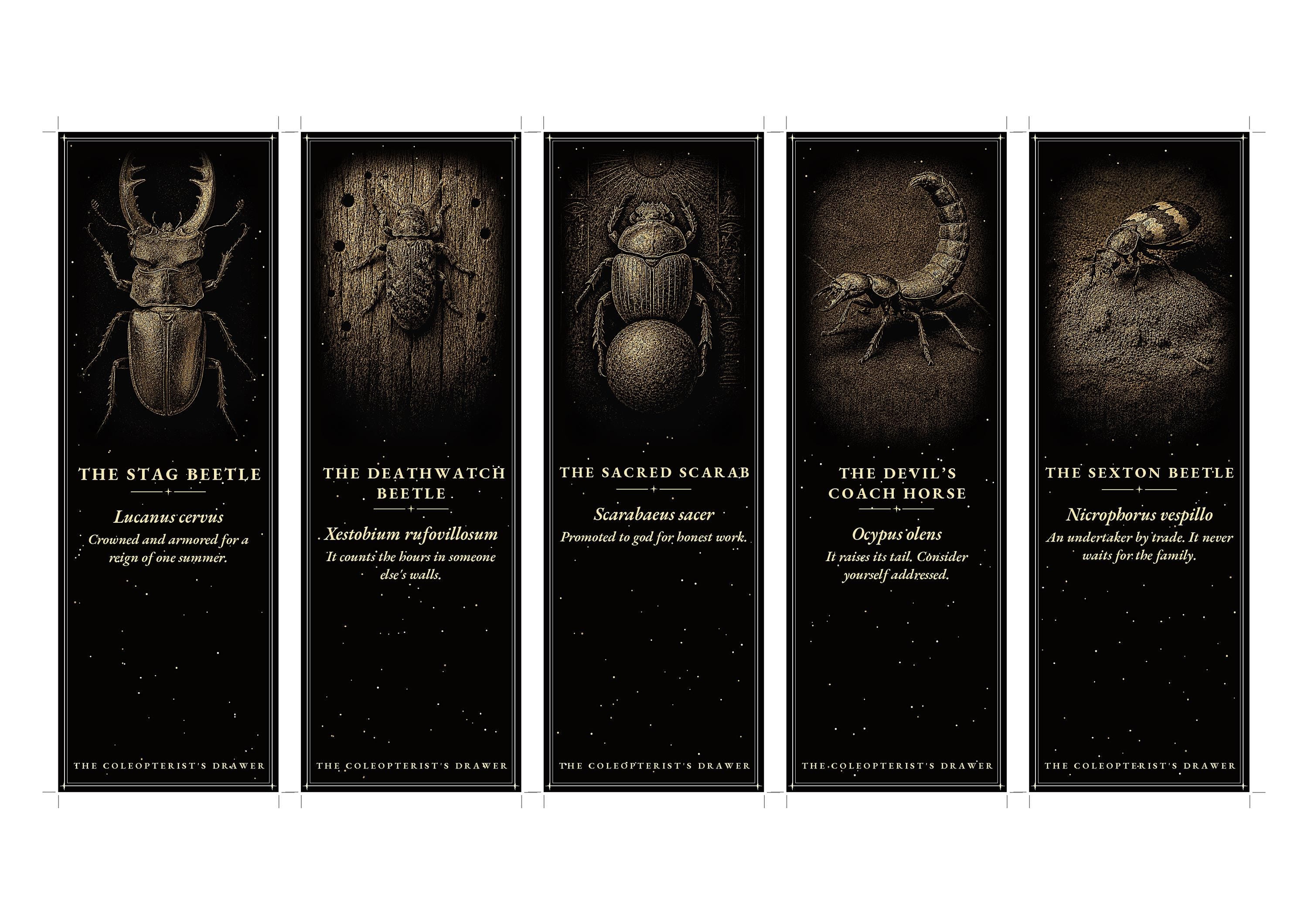 The Coleopterist's Drawer Printable Bookmarks | Dark Academia Gothic Bookmark Set | Beetle Digital Download