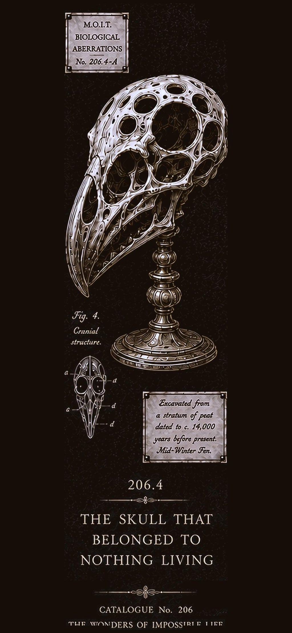 Dark Academia Phone Wallpaper Bundle | Cabinet of Curiosities Lock Screen (Digital Download)