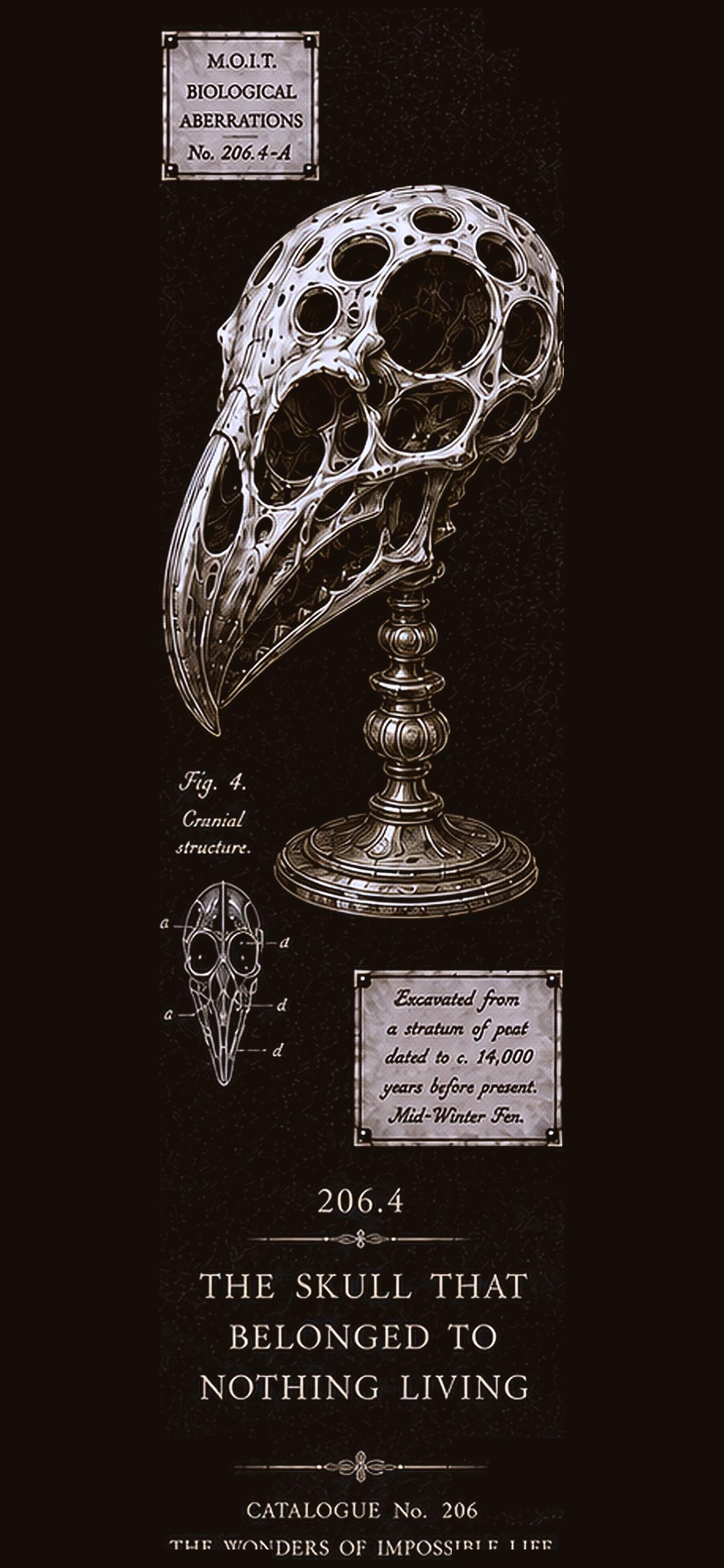Dark Academia Phone Wallpaper Bundle | Cabinet of Curiosities Lock Screen (Digital Download)