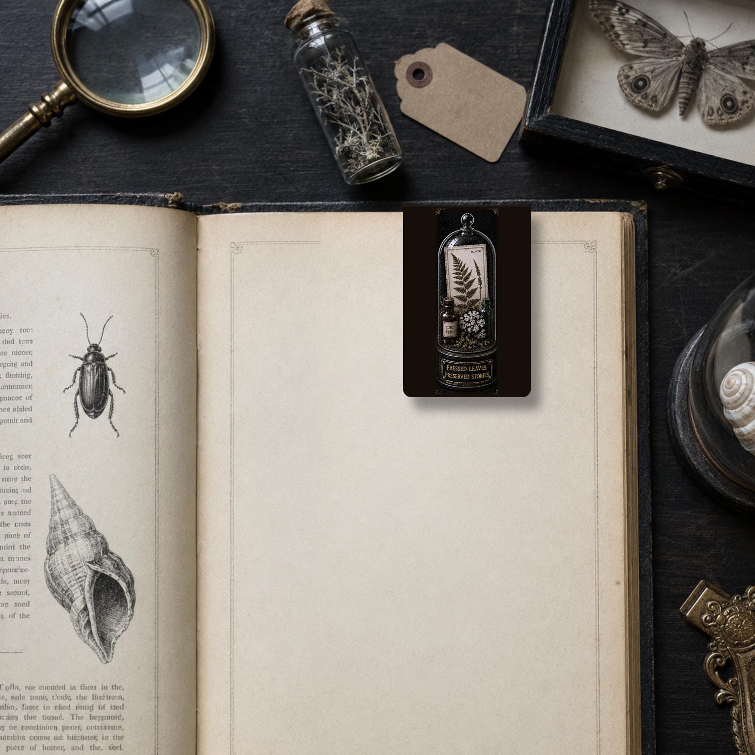 Wonders of the Wild Bookmark | Dark Academia Set of 5 | Standard or Magnetic | Gothic Cabinet of Curiosities