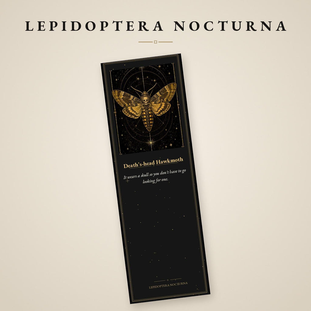 Lepidoptera Nocturna Bookmark, Victorian Moth Specimens | Gold Linework | Dark Academia Page Marker | Magnetic Option
