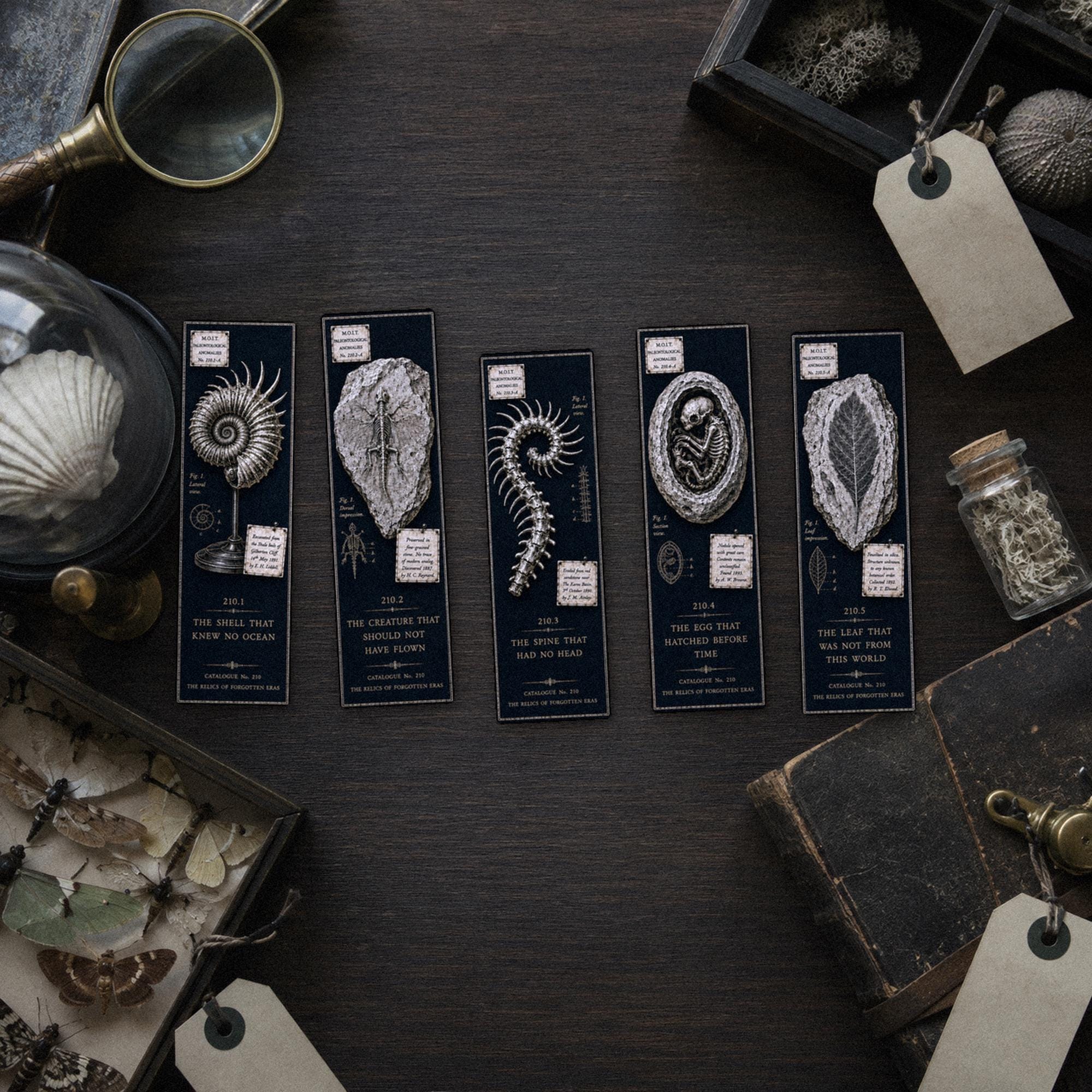 Relics of Forgotten Eras Bookmark | Dark Academia Set of 5 | Standard or Magnetic | Gothic Cabinet of Curiosities