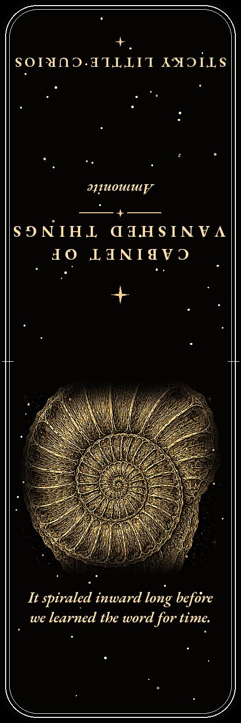 Cabinet of Vanished Things Bookmark | Dark Academia Fossil Bookmark | Standard or Magnetic Page Marker