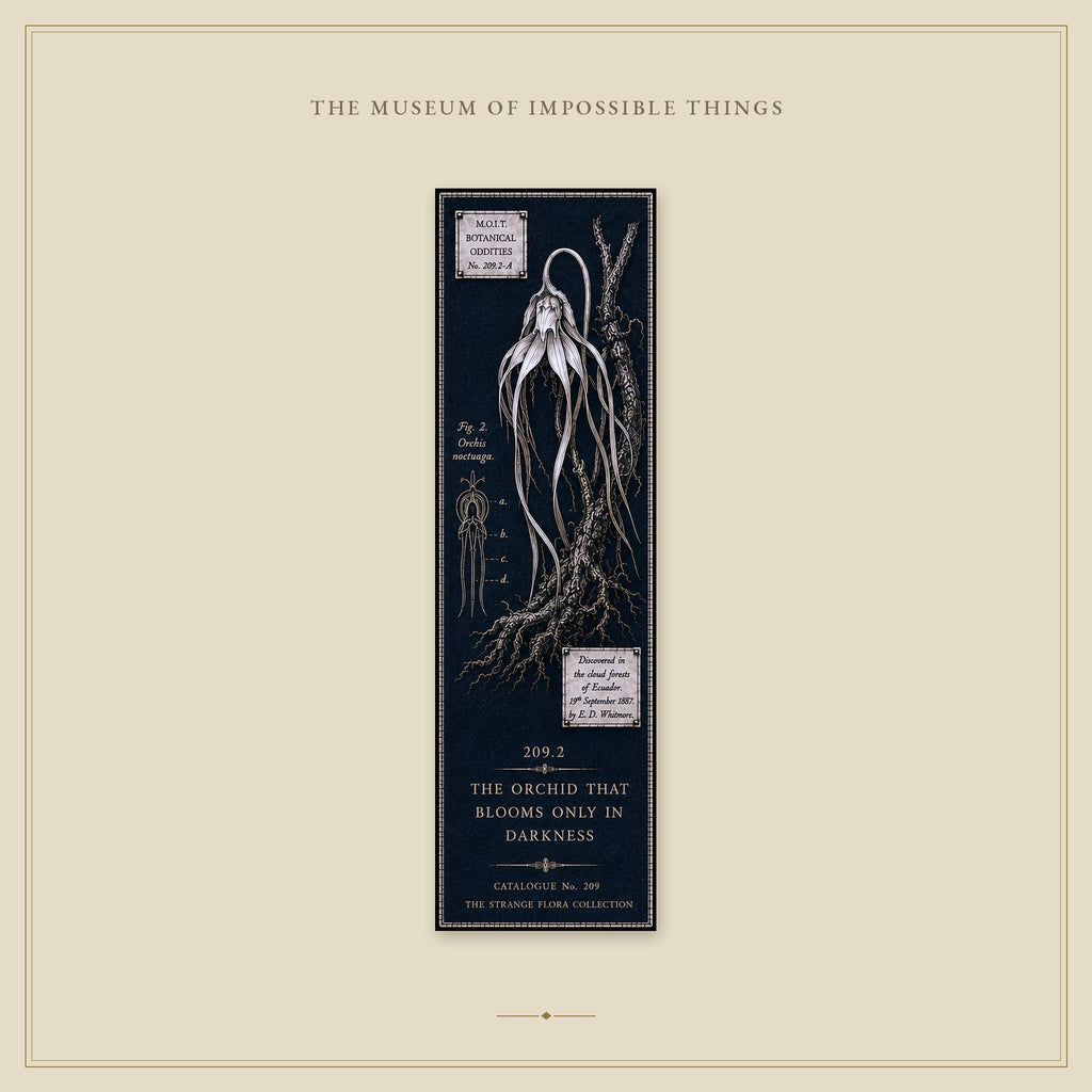 Strange Flora Bookmark | Dark Academia Set of 5 | Standard or Magnetic | Gothic Cabinet of Curiosities