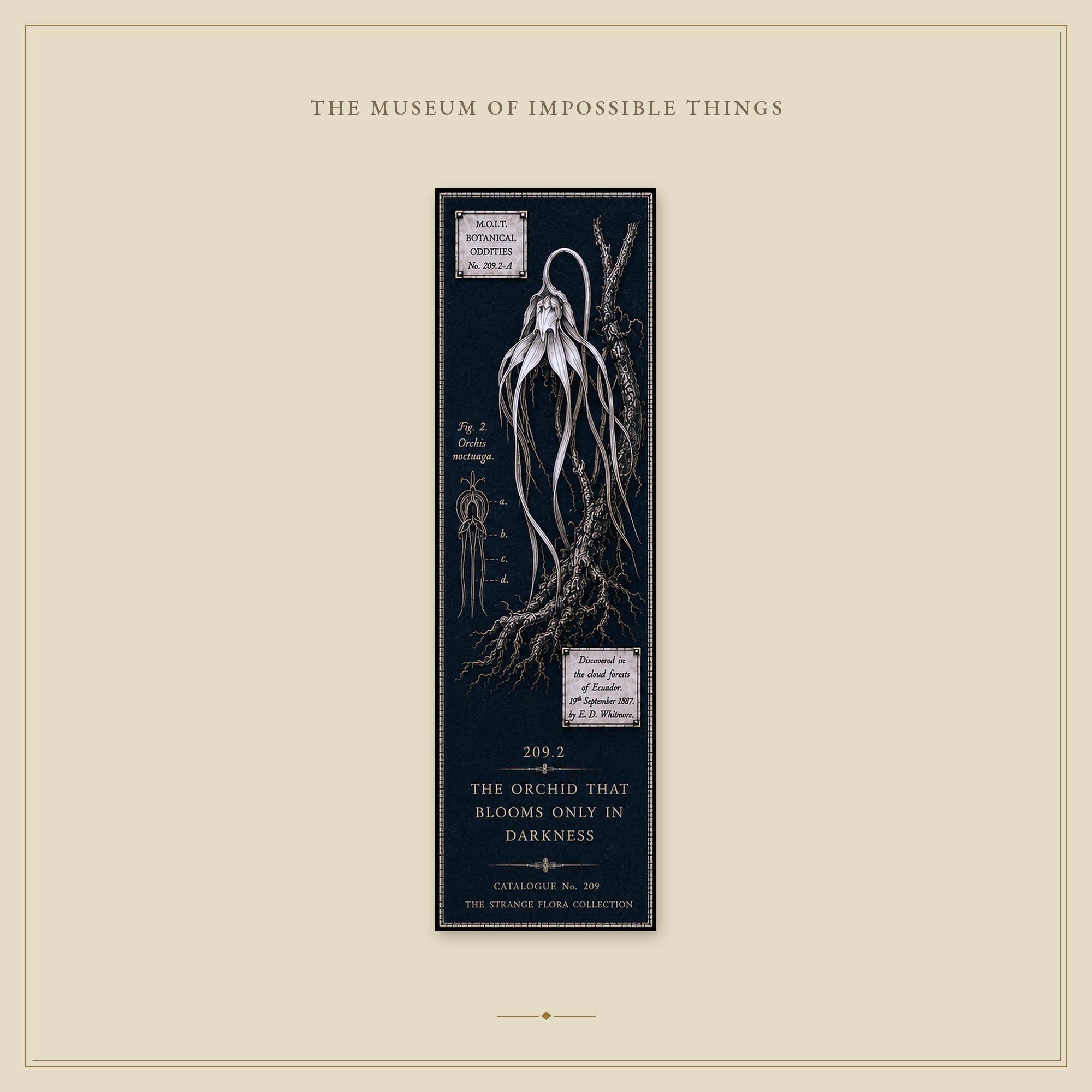 Strange Flora Bookmark | Dark Academia Set of 5 | Standard or Magnetic | Gothic Cabinet of Curiosities