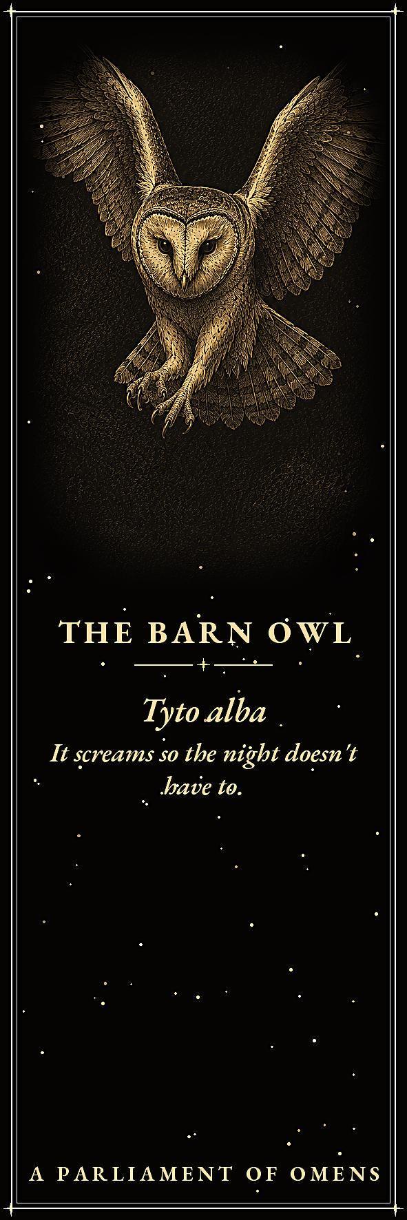 A Parliament of Omens Bookmark, Dark Academia Raven | Gold Detail | Magnetic Page Marker, Witchy Book Lover