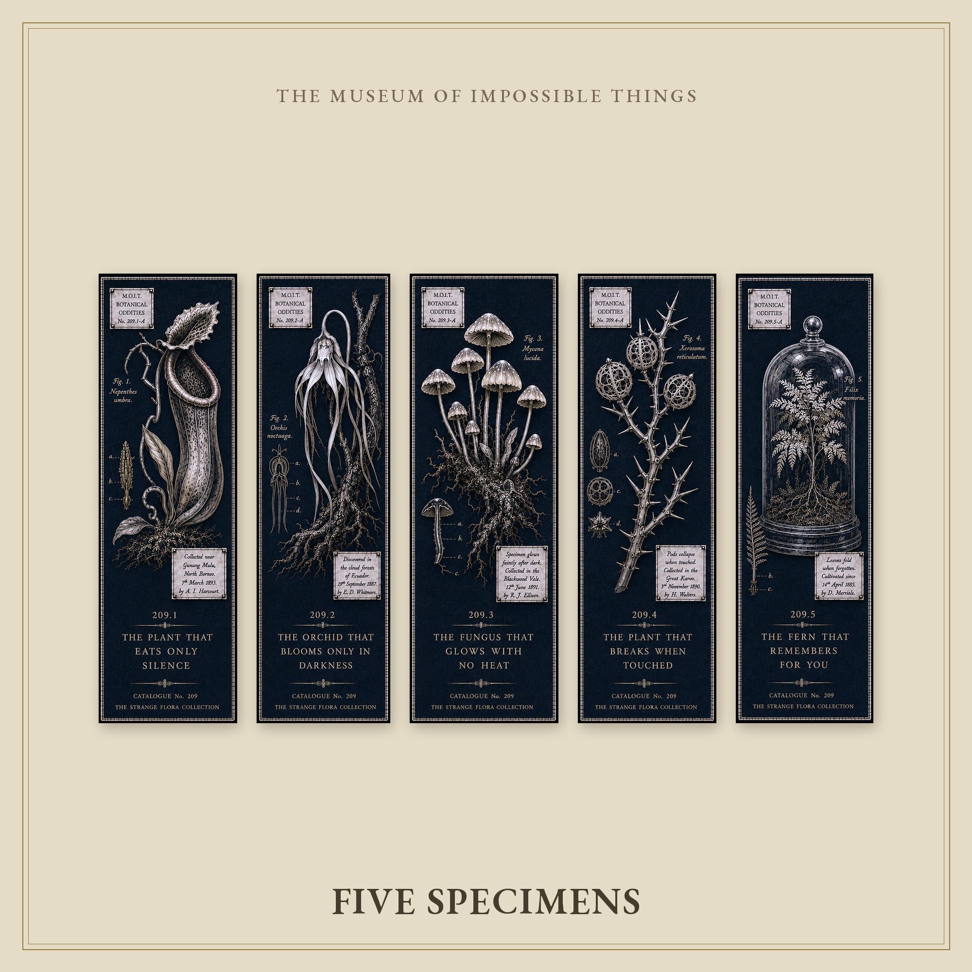 Strange Flora Bookmark | Dark Academia Set of 5 | Standard or Magnetic | Gothic Cabinet of Curiosities