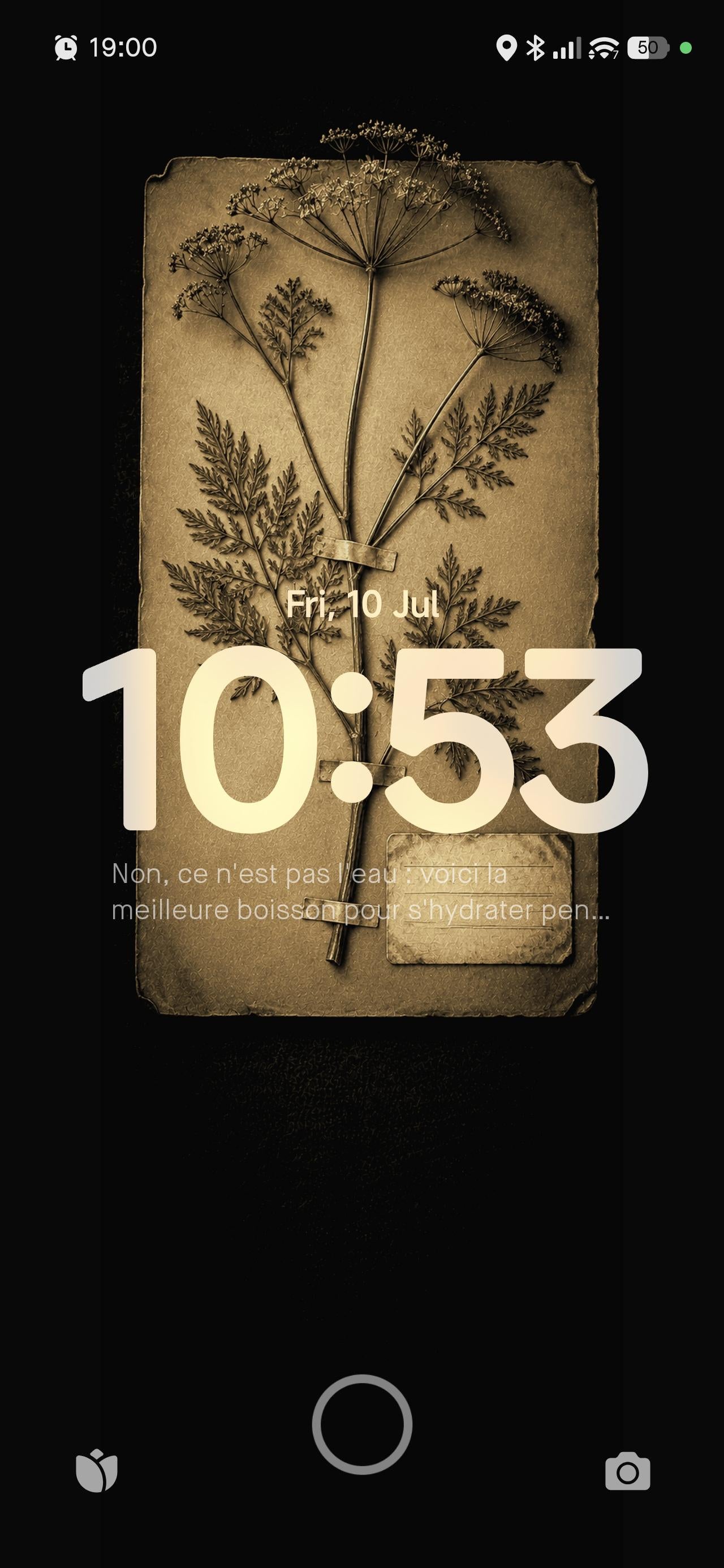 The Black Herbarium Phone Wallpaper Bundle | Dark Academia Lock Screen, Witchy Botanical Designs | Digital Download