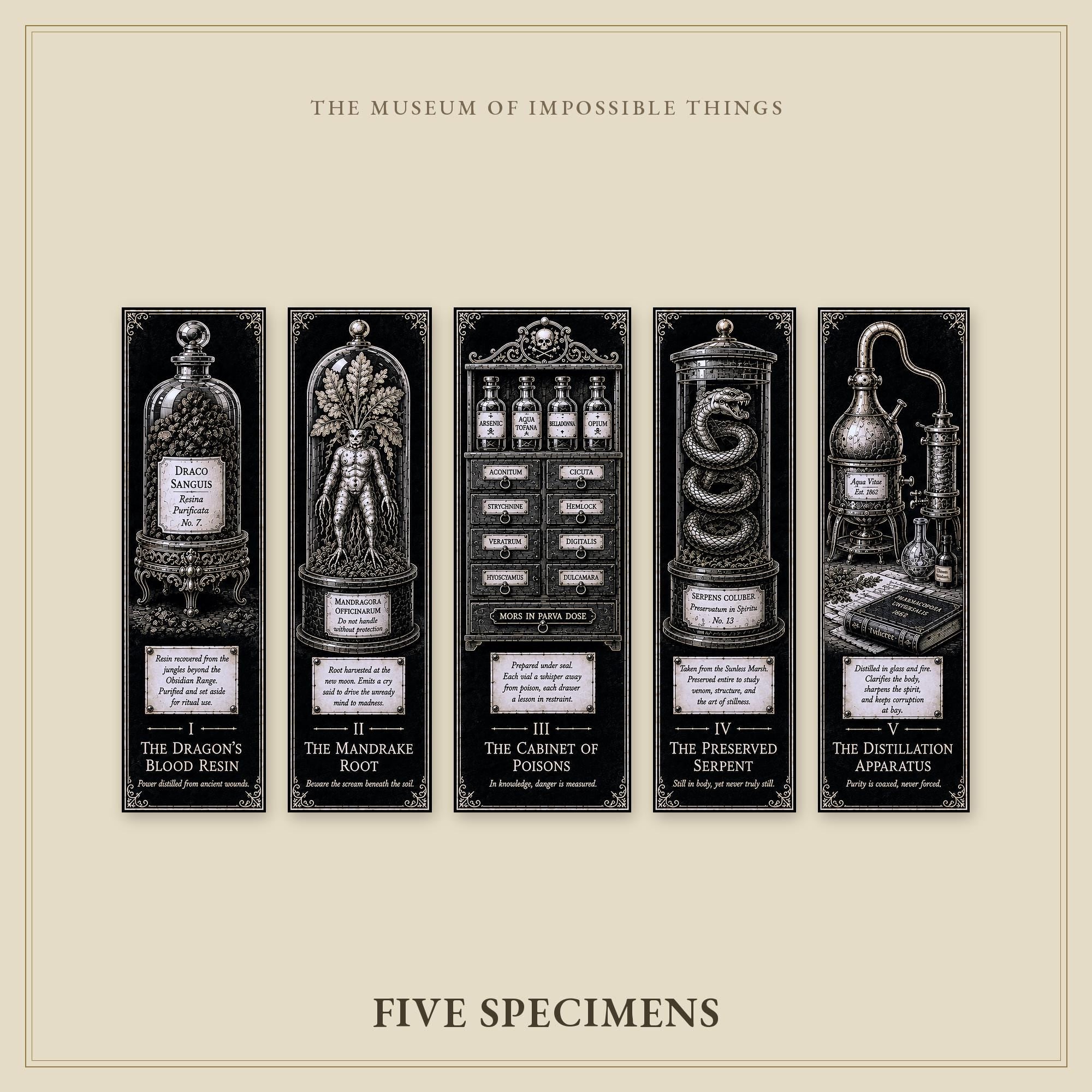 The Apothecary's Cabinet Bookmark | Dark Academia Set of 5 | Standard or Magnetic | Gothic Cabinet of Curiosities