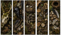 Goblincore Bookmarks Printable Set | Deer Skull, Raven Skull, Botanicals (Digital Download)