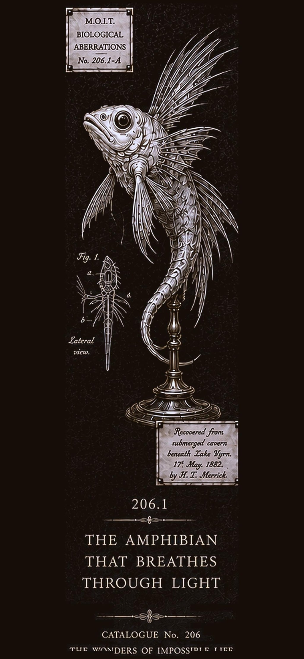 Dark Academia Phone Wallpaper Bundle | Cabinet of Curiosities Lock Screen (Digital Download)