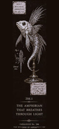 Dark Academia Phone Wallpaper Bundle | Cabinet of Curiosities Lock Screen (Digital Download)