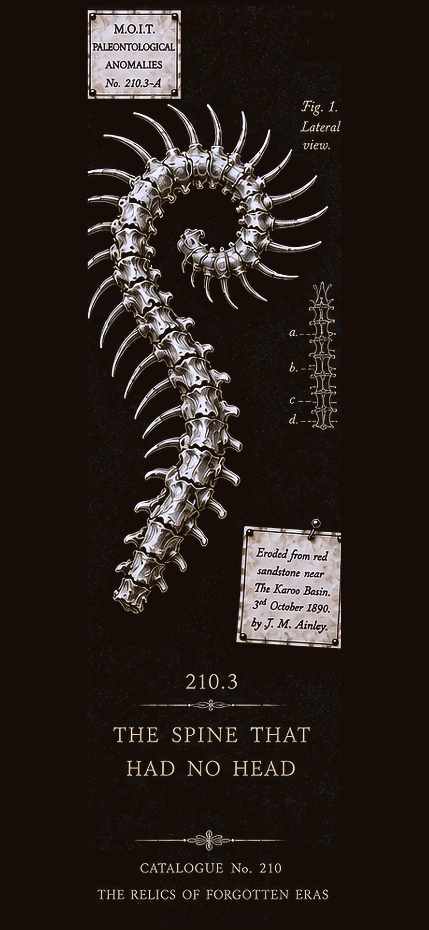 Relics of Forgotten Eras, Dark Academia Lock Screen | Specimen Collection, Gothic Phone Wallpaper, Instant Download