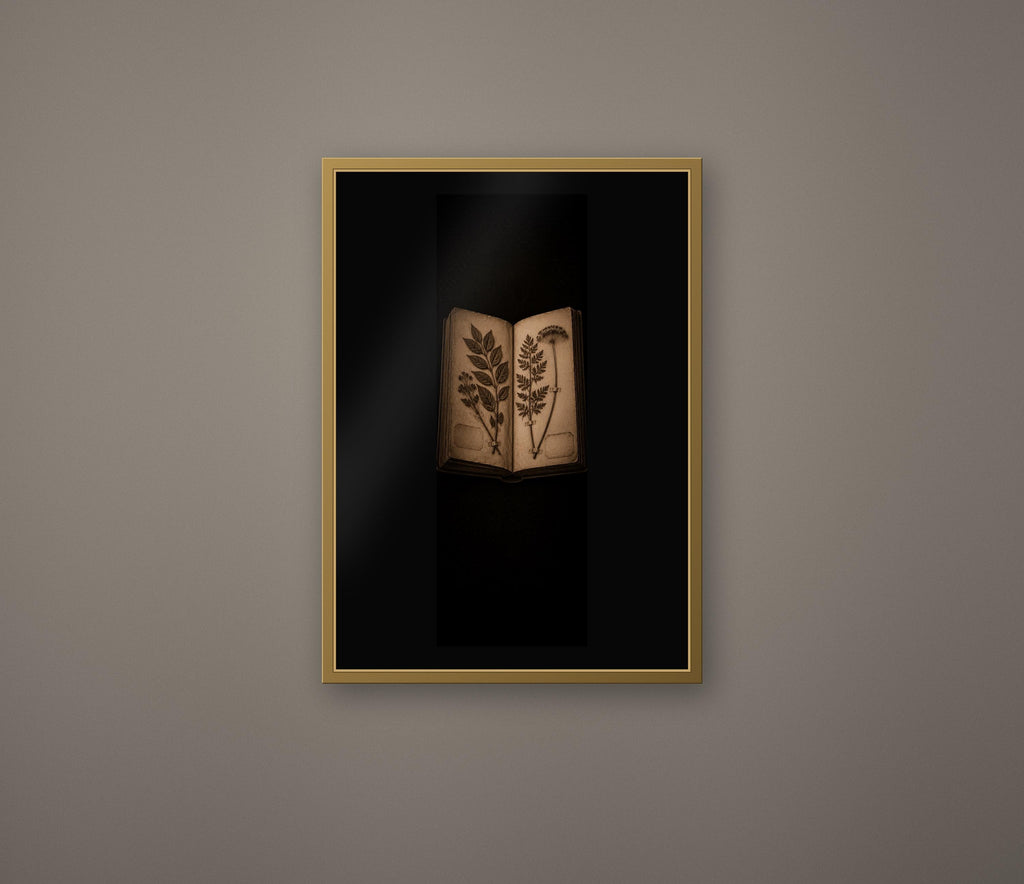 Black Herbarium Prints, Poisoner's Cabinet | Dark Academia Gothic Art | Antique Botanical | Digital Download