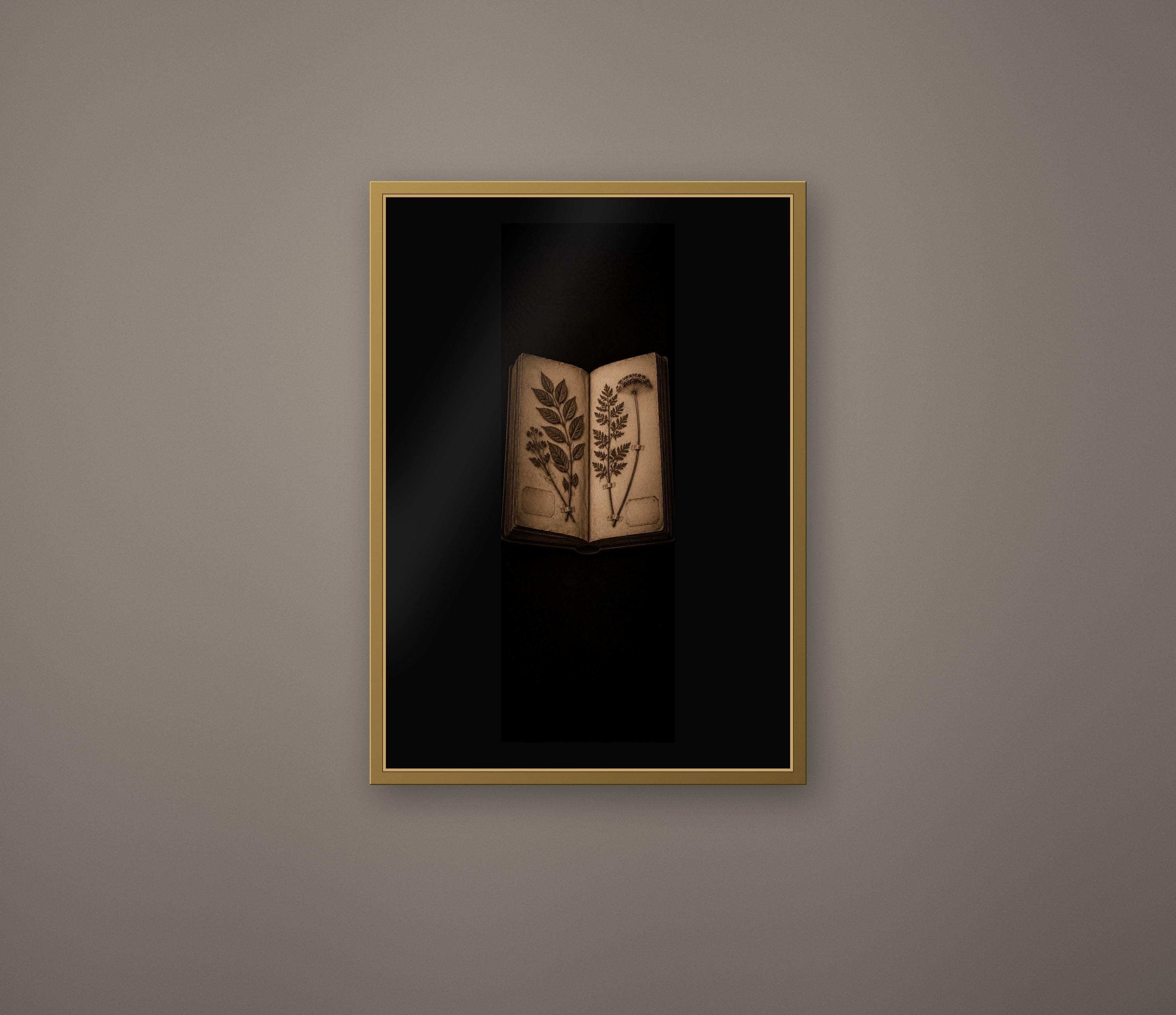 Black Herbarium Prints, Poisoner's Cabinet | Dark Academia Gothic Art | Antique Botanical | Digital Download