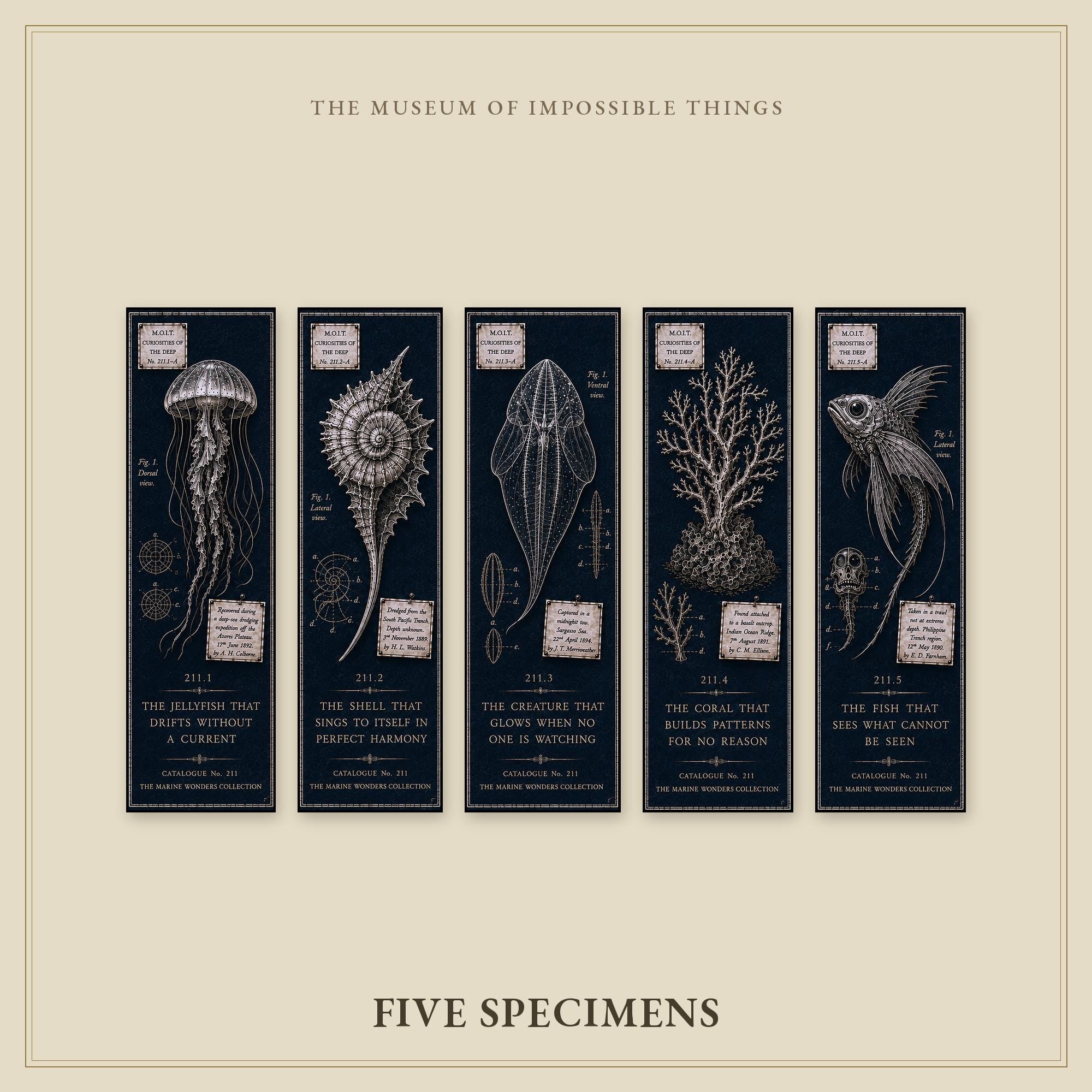Marine Wonders Bookmark | Dark Academia Set of 5 | Standard or Magnetic | Gothic Cabinet of Curiosities