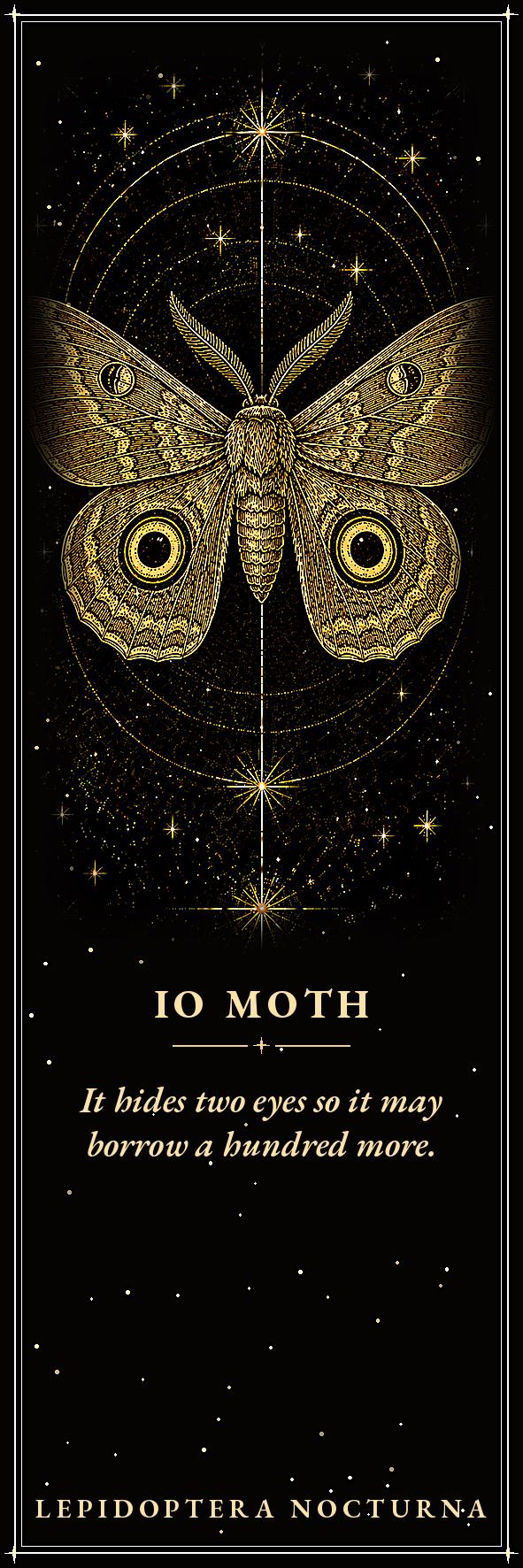 Lepidoptera Nocturna Printable Bookmarks | Dark Academia Moth Bookmark Set | Victorian Naturalist Specimen Digital Download