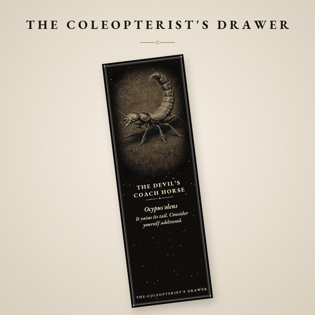 The Coleopterist's Drawer: Dark Academia Beetle Bookmarks | Gothic Printable | Digital Download, Occult Stationery