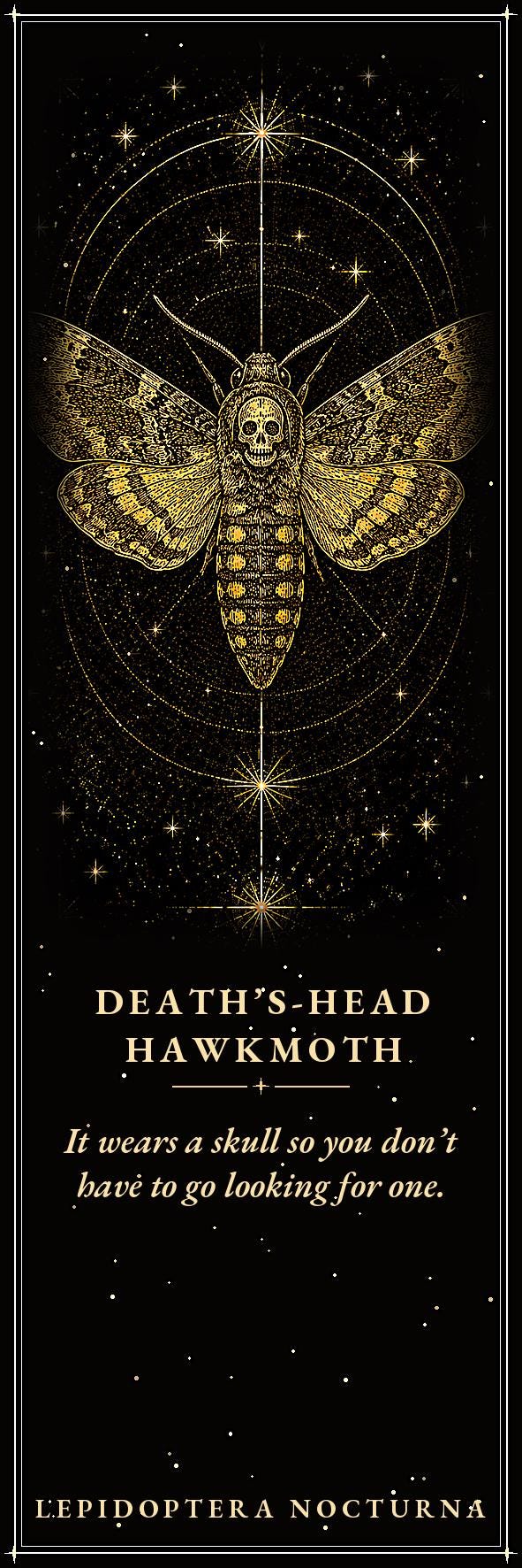 Lepidoptera Nocturna Bookmark | Dark Academia Moth Specimen Bookmark | Standard or Magnetic Page Marker