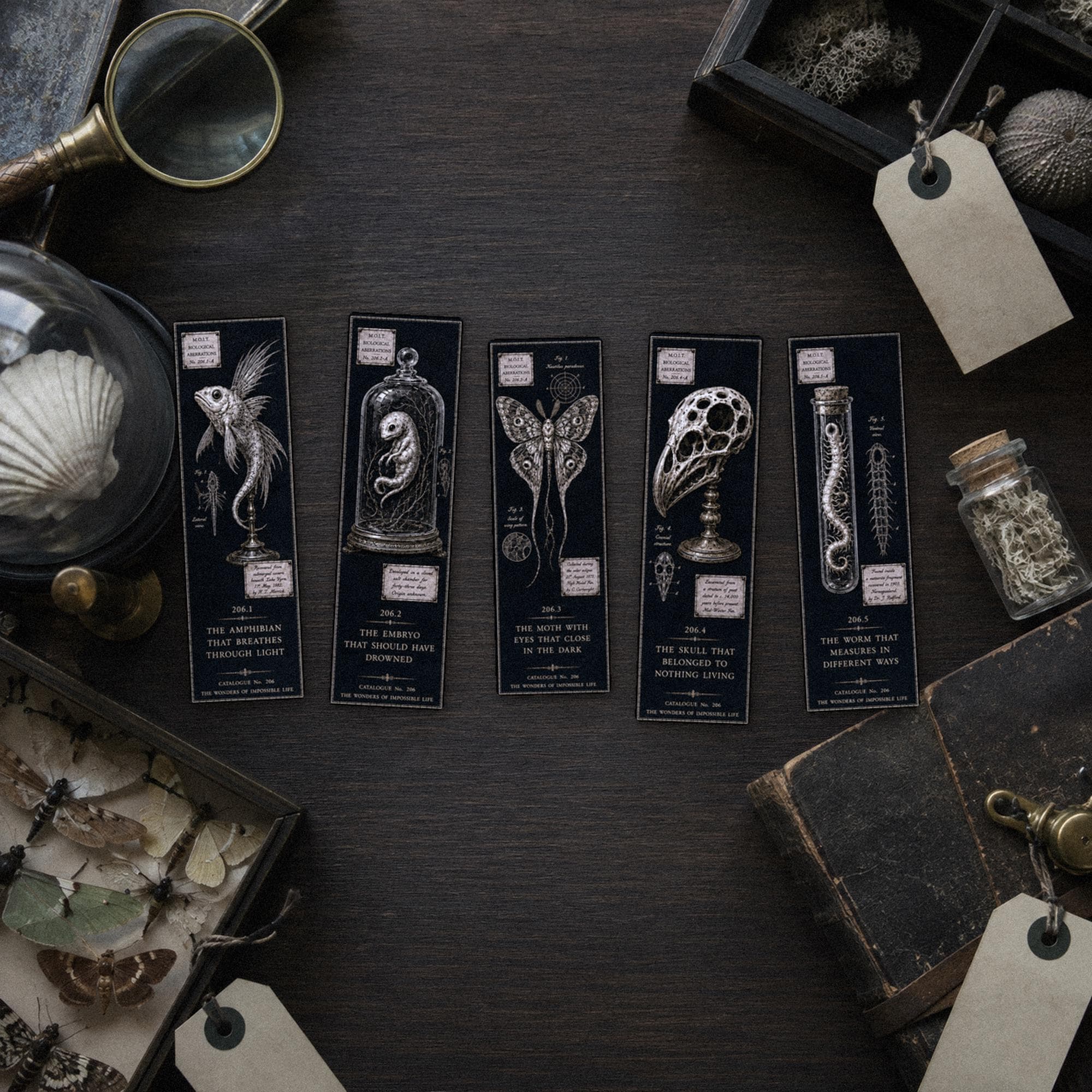 Wonders of Impossible Life Bookmark | Dark Academia Set of 5 | Standard or Magnetic | Gothic Cabinet of Curiosities