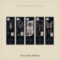 Entomological Curiosities Bookmark | Dark Academia Set of 5 | Standard or Magnetic | Gothic Cabinet of Curiosities