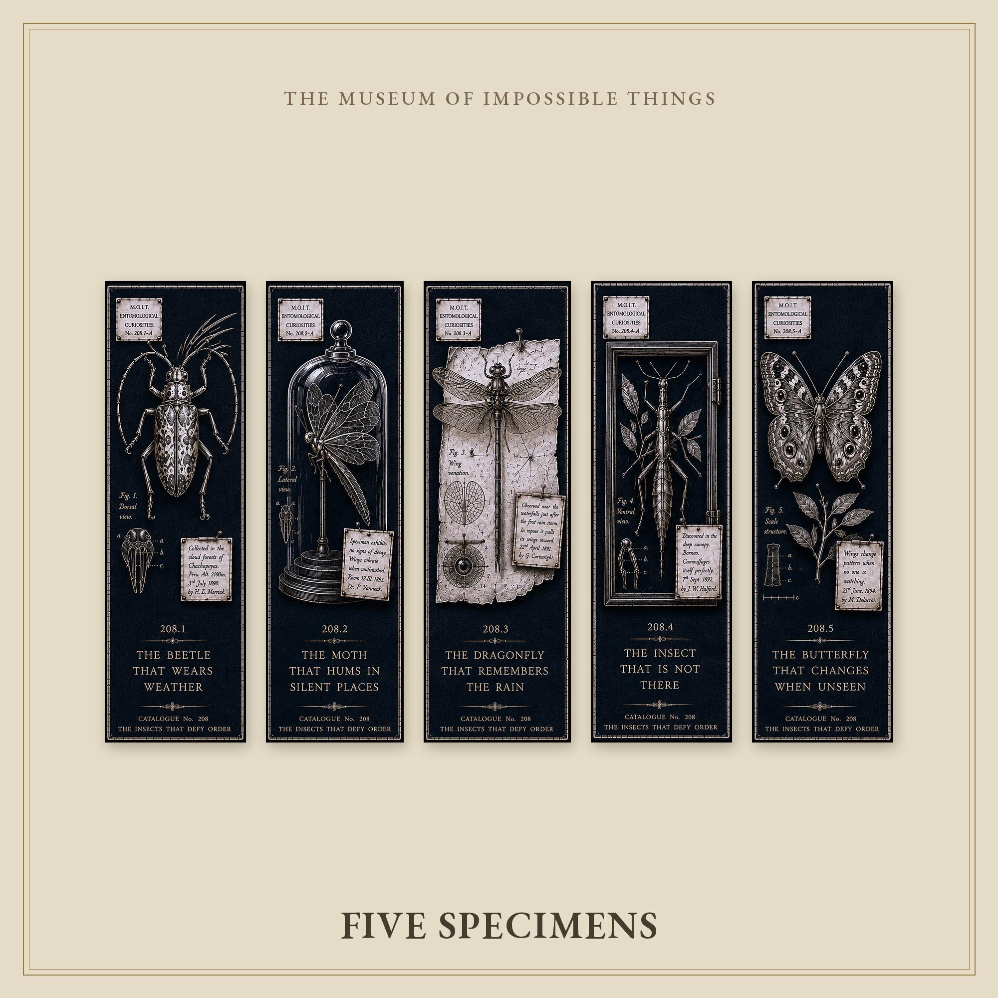 Entomological Curiosities Bookmark | Dark Academia Set of 5 | Standard or Magnetic | Gothic Cabinet of Curiosities