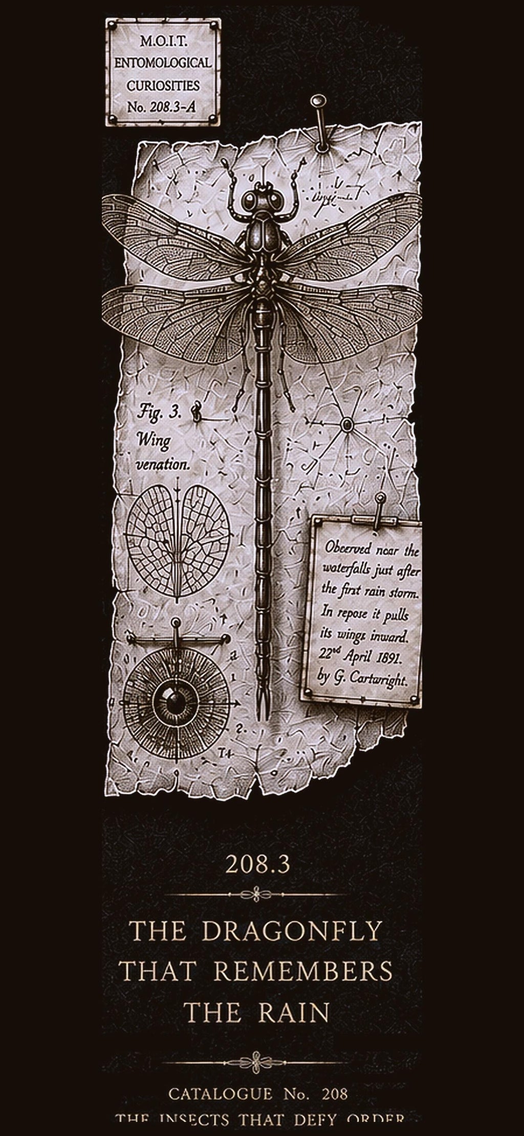 Entomological Curiosities Phone Wallpaper | Dark Academia Lock Screen Bundle | Five Specimen Designs | Digital Download | Moody Gold Insects