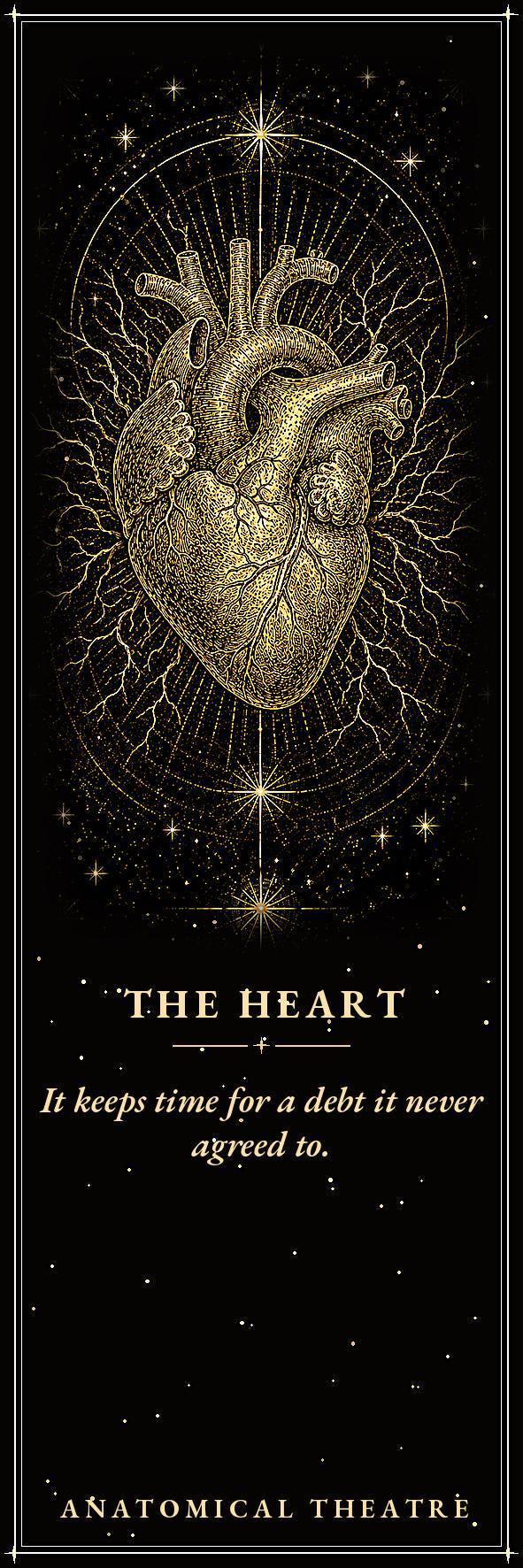 Anatomical Theatre Bookmark, Memento Mori Art | Dark Academia | Gold On Black | Page Marker | Vanitas Gift
