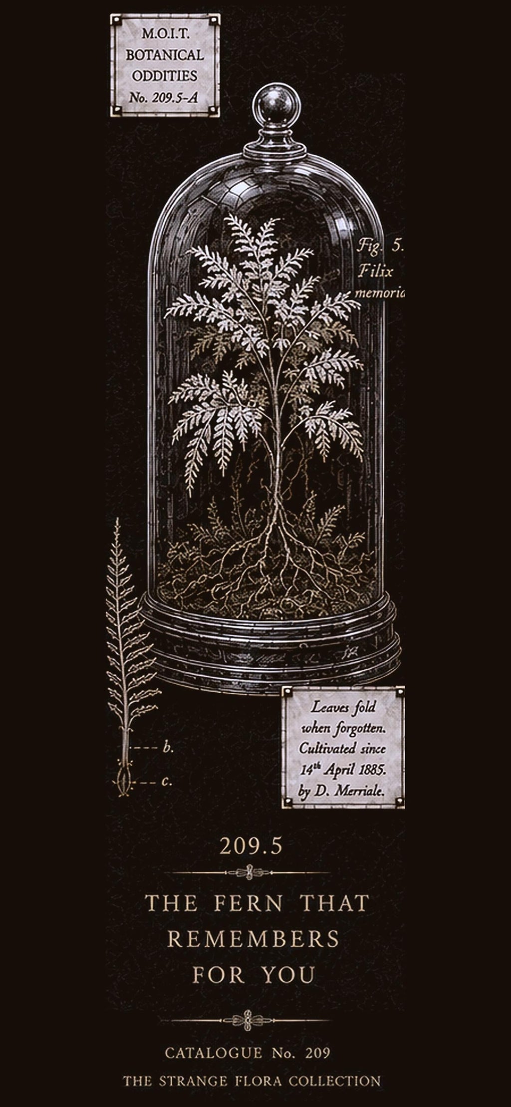 Strange Flora Phone Wallpaper Bundle | Dark Academia Lock Screen, Botanical Digital Art | iPhone & Android