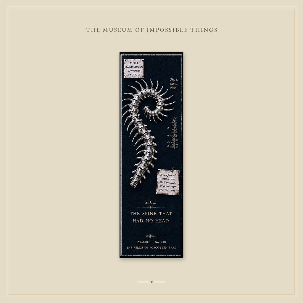 Relics of Forgotten Eras Bookmark | Dark Academia Set of 5 | Standard or Magnetic | Gothic Cabinet of Curiosities