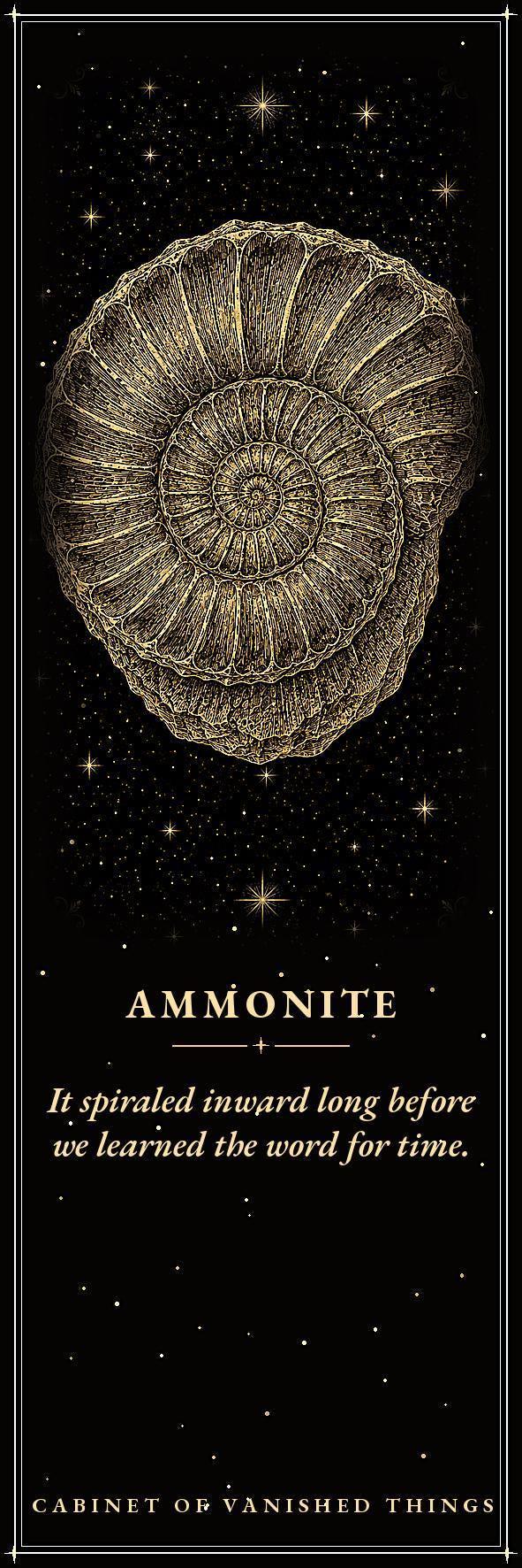 Cabinet of Vanished Things Bookmark, Dark Academia Fossil Art | Paleontology Page Marker | Magnetic or Standard