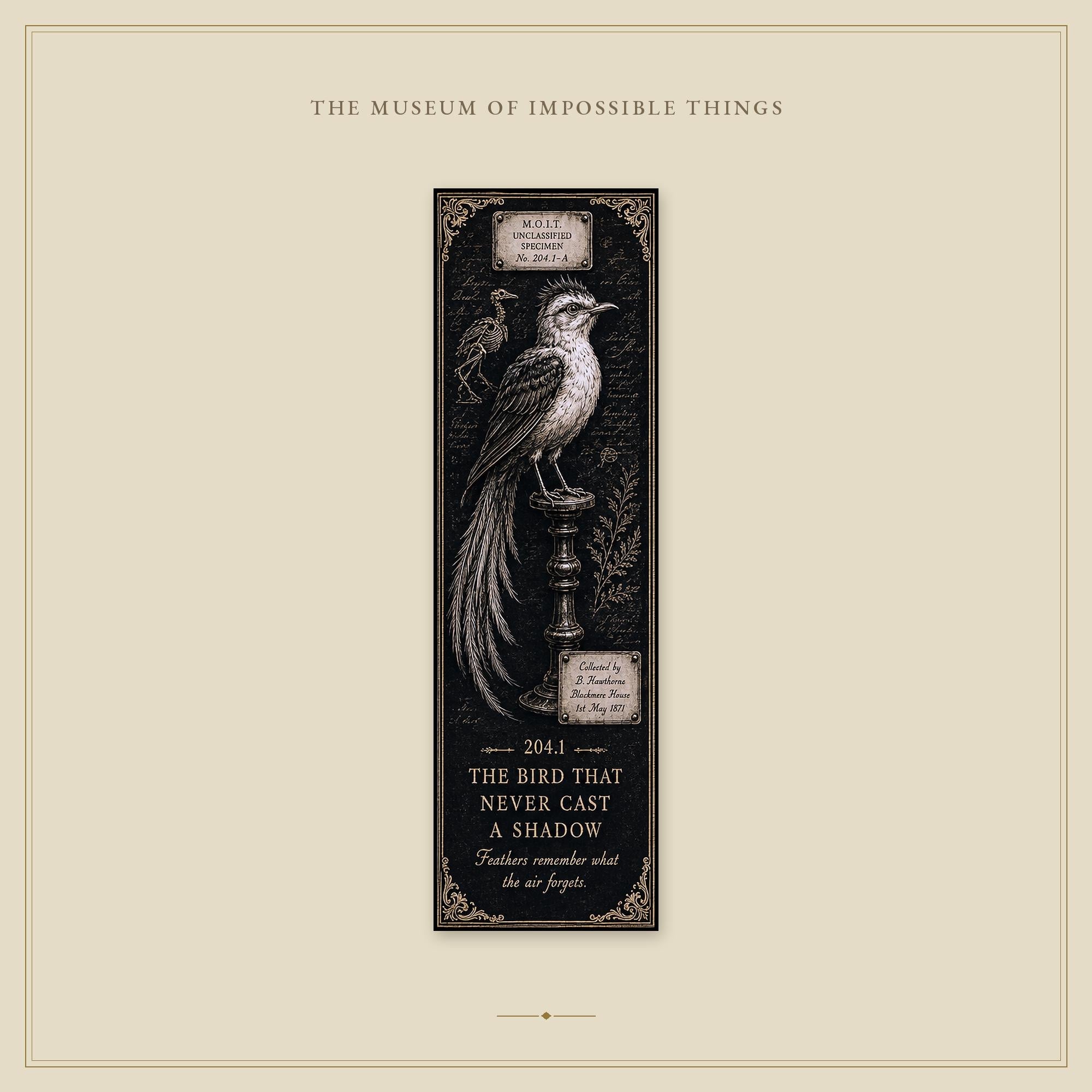 Unclassified Specimens Bookmark | Dark Academia Set of 5 | Standard or Magnetic | Gothic Cabinet of Curiosities